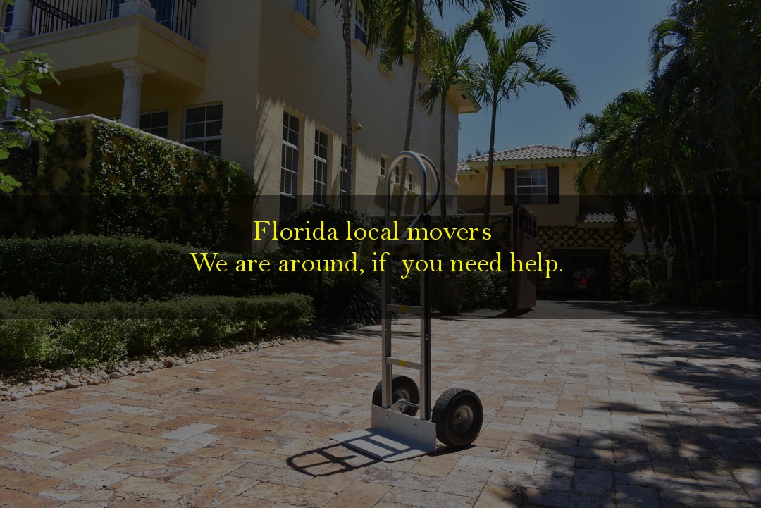 florida local movers