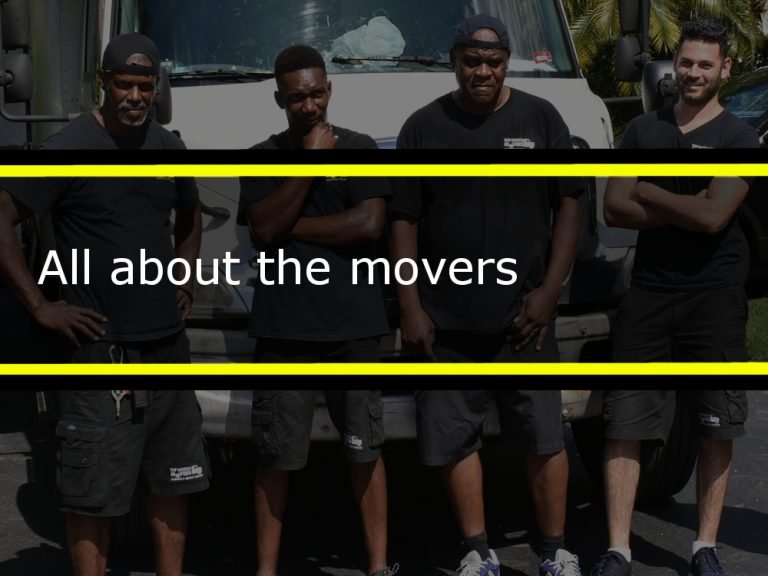 We are movers, our team