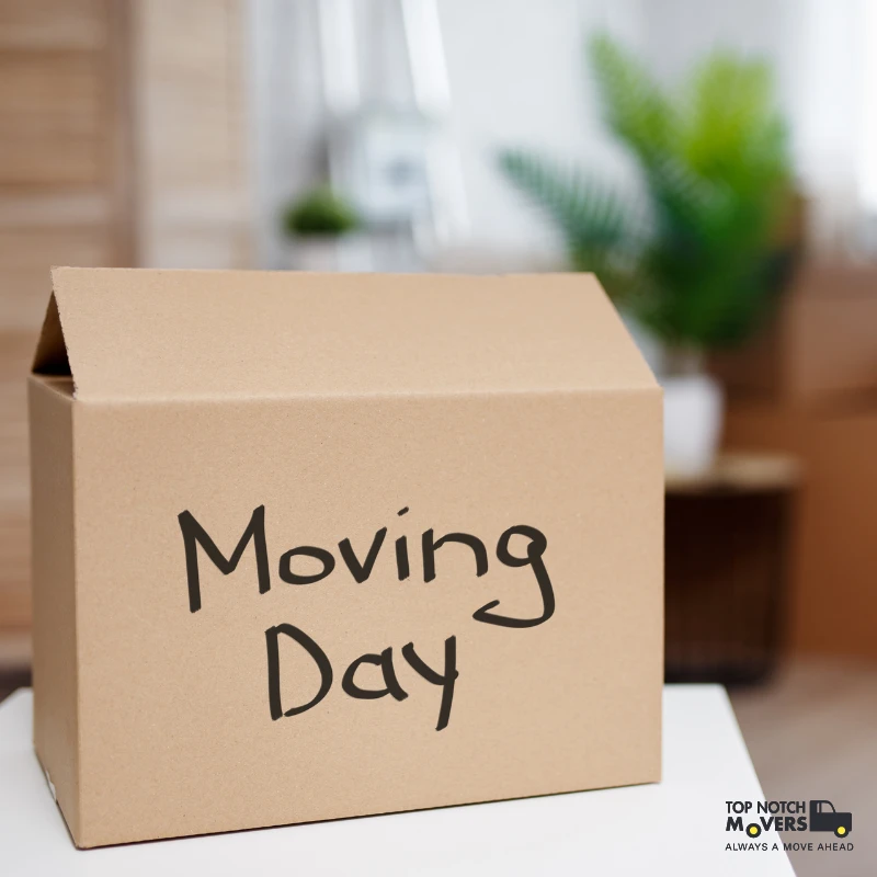 moving day senior moves